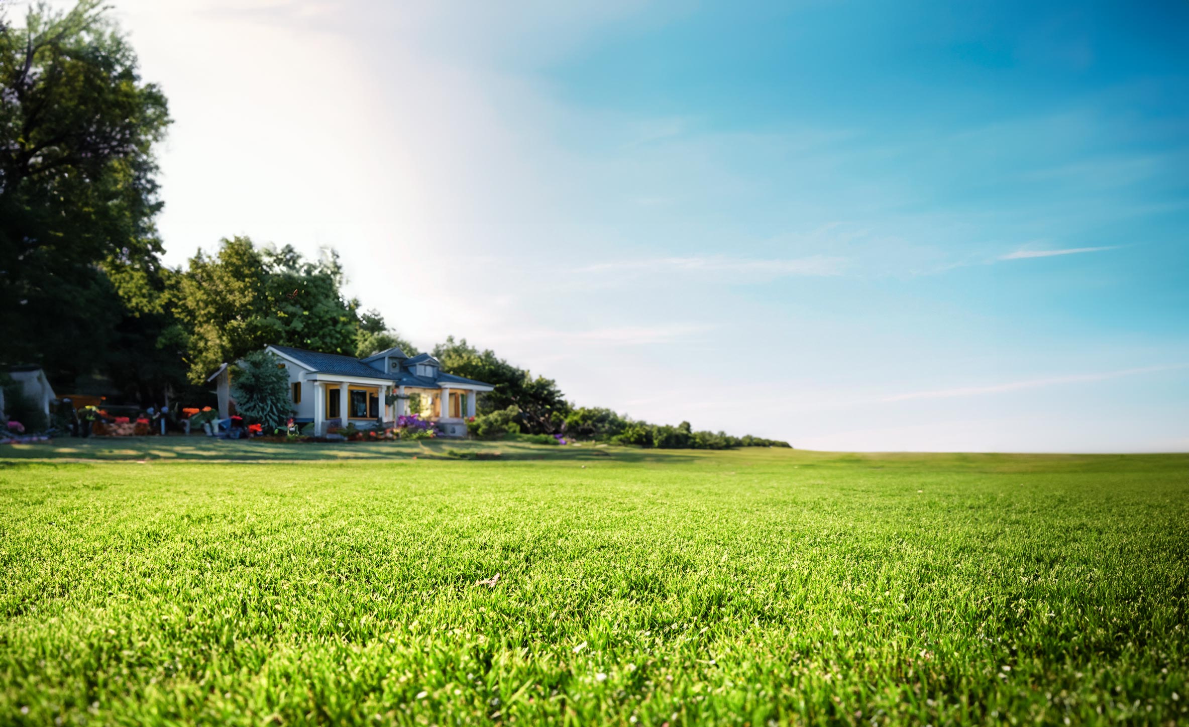 360_Camera_Lawn